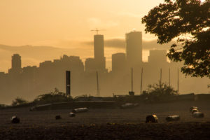 Vancouver skyline with beach with trunks, evening mood, Canada Vancouver skyline with beach with trunks, evening mood, Canada